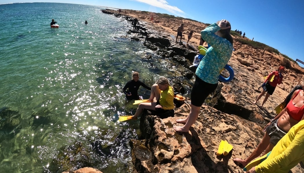 A group of women snorkelling