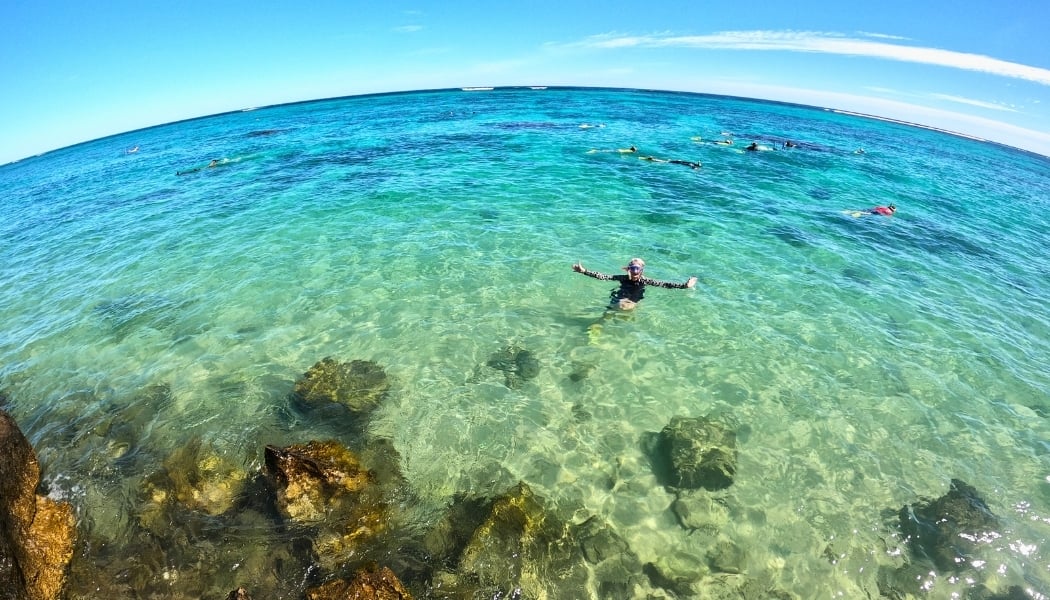 Snorkelling in the Ningaloo Reef