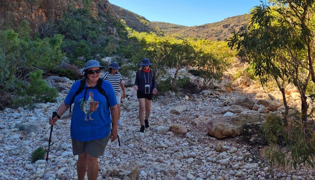 A small group of women hiking