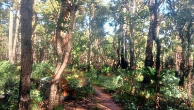 Bickley valley