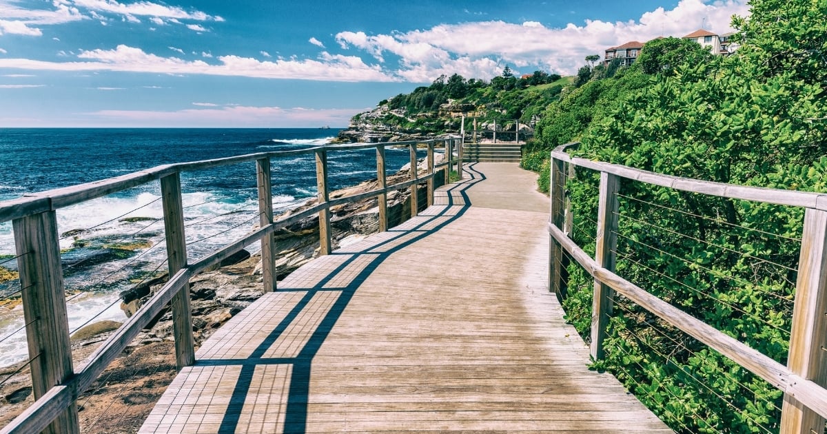 Bondi Beach Sydney Bridge