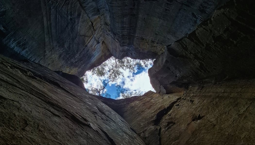 Carnarvon Gorge - Ampitheatre