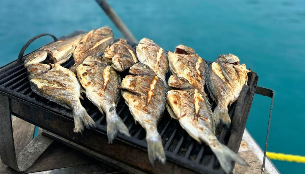 Catch of the day!