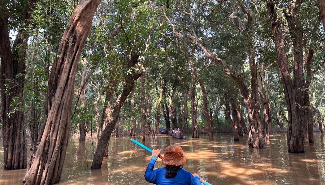 Discover the Tonle Sap flooded forest on small boats