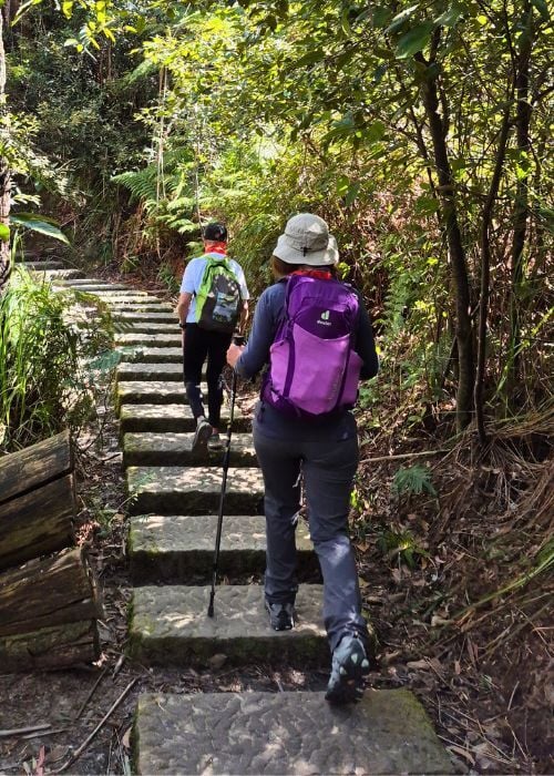 Do I still carry a pack _ Walking through the trail with a day pack