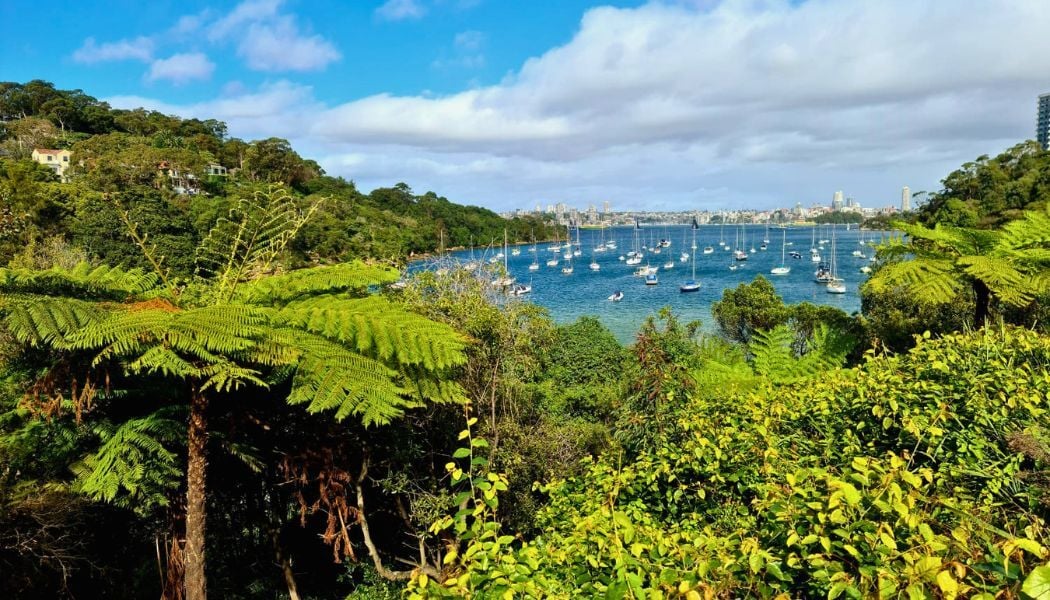 Enjoy breathtaking views