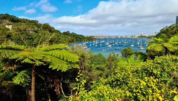 Enjoy breathtaking views