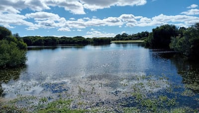 Explore serene wetlands at Whiteman Park