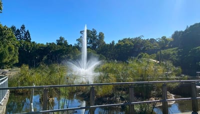 Fountain in Roma Street Parklands