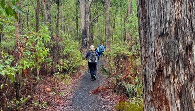 Group of women hiking through a dense forest