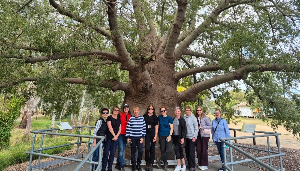 Group photo in front of an old tree