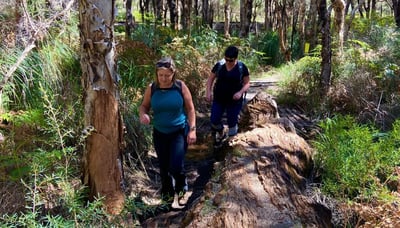 Hike Whiteman Park with like-minded women
