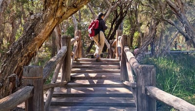 Hike quiet trails surrounded by nature