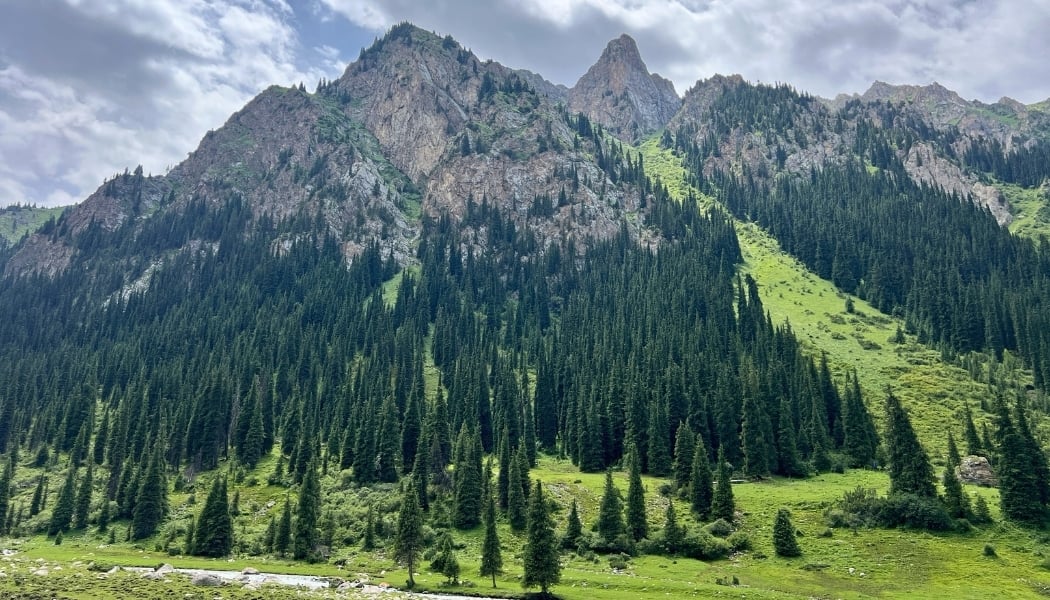 Hike through dramatic alpine valleys