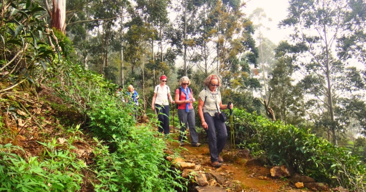 Hiking in Sri Lanka 2