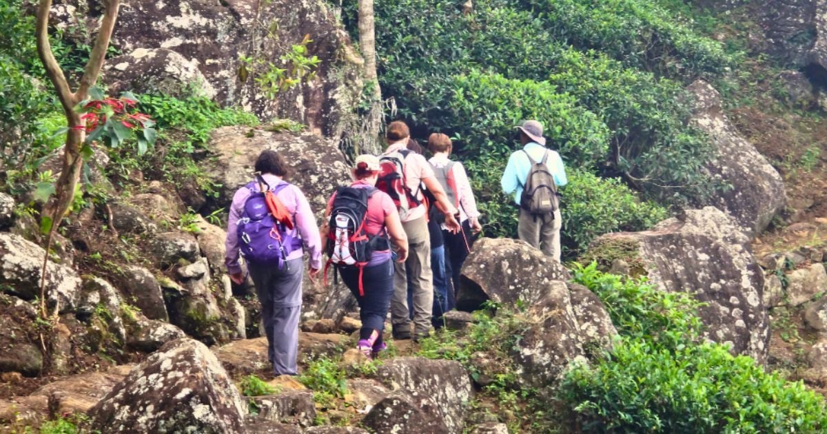 Hiking in Sri Lanka