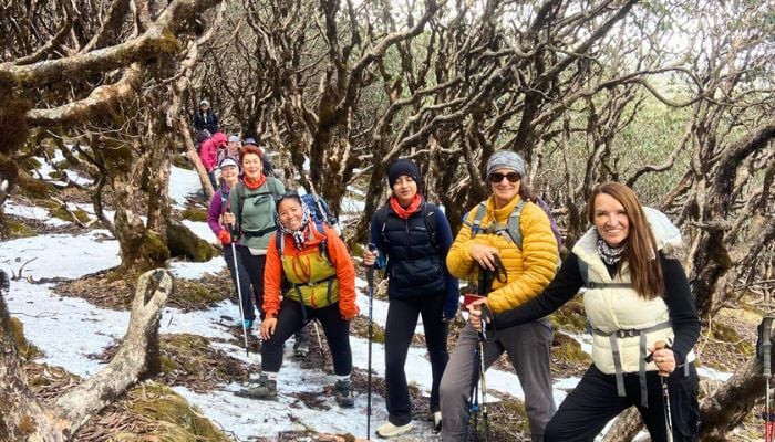 Hiking in wooded forest in Nepal