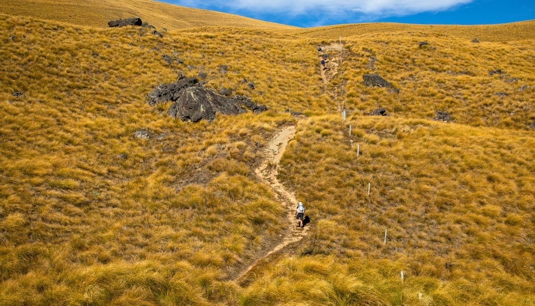 Hiking the Ben Lomond Track