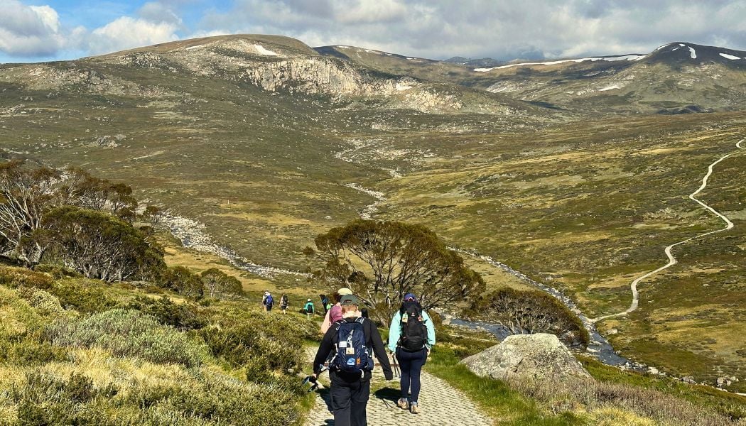 Incredible nature trail vistas