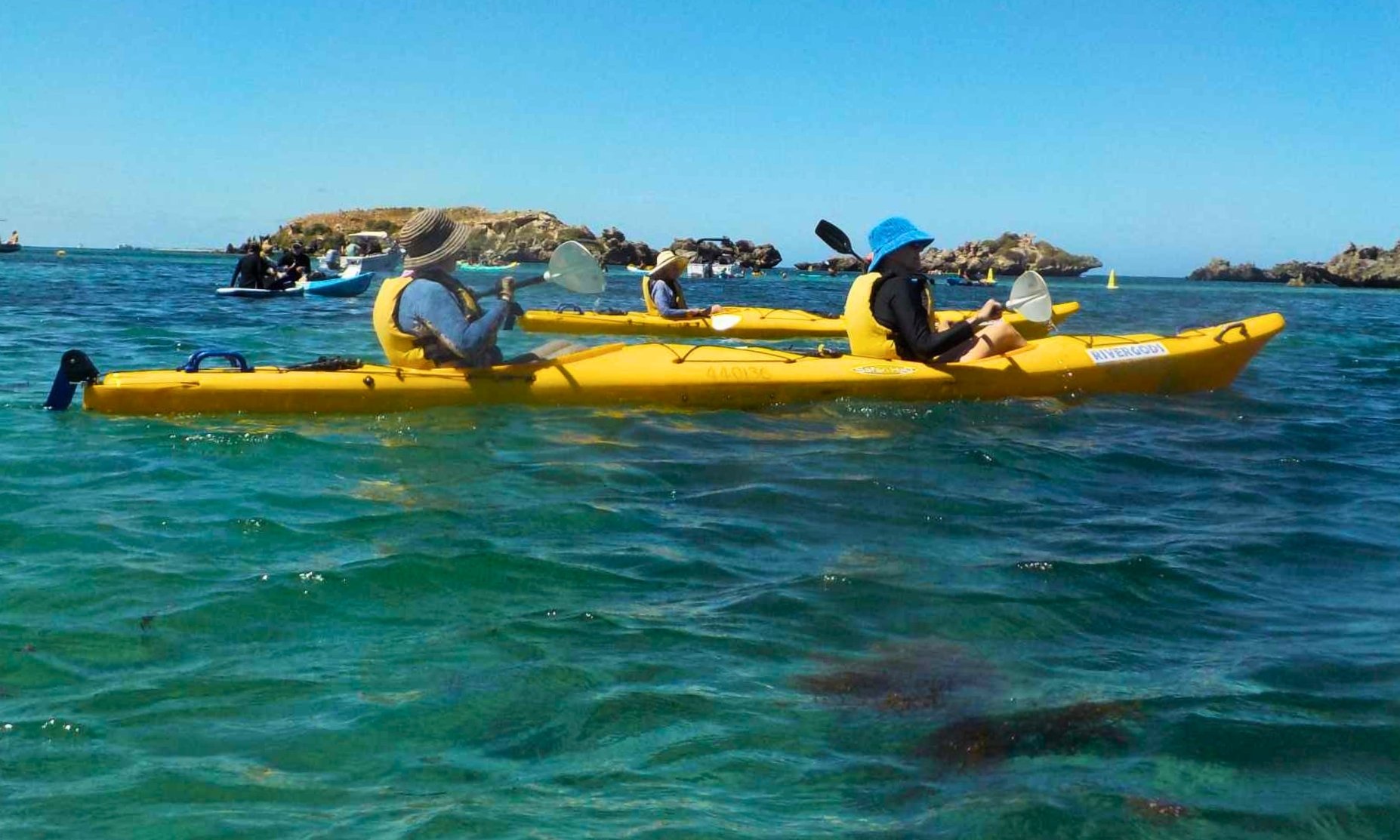 Kayak Penguin and Seal Islands - Hero (1)