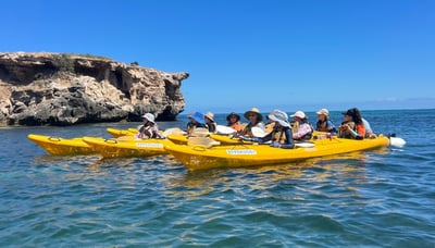 Kayak in the calm ocean