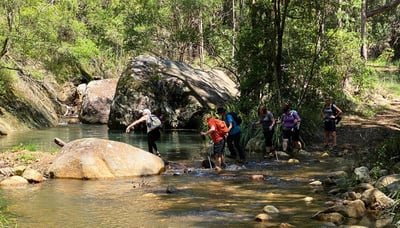 Ladies Trekking group crossing water on Cronan Creek Track