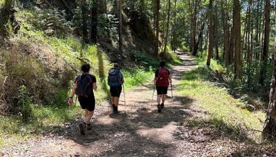 Ladies Trekking group on Cronan Creek Track (2)