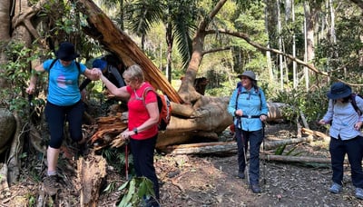 Ladies Trekking group on Cronan Creek Track (3)