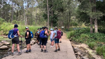 Ladies Trekking group on Cronan Creek Track