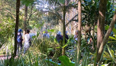 Ladies social walking group in Roma Street Parklands (3)