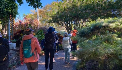 Ladies social walking group in Roma Street Parklands