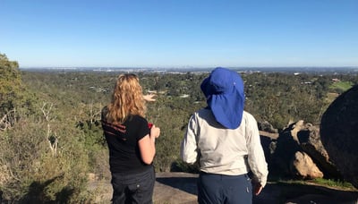 Lookout point on eagle view trail