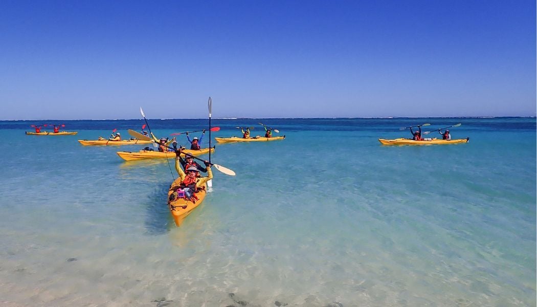 Ningaloo reef kayaking (2)