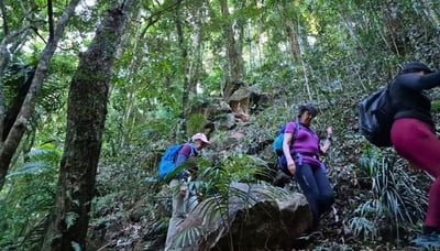 On the trails of Warrie Circuit