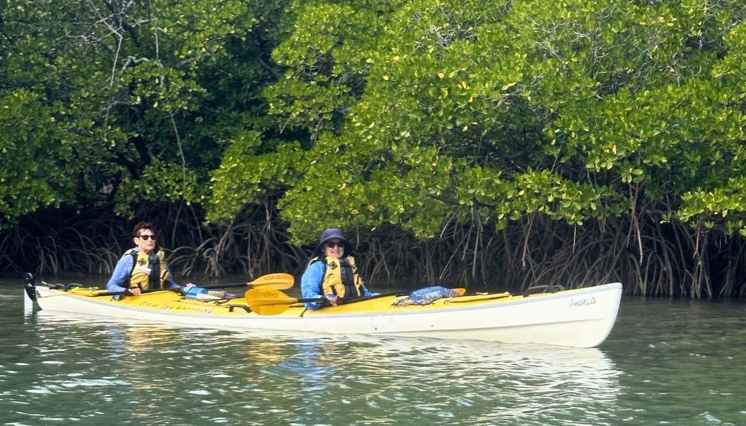 Paddle around Missionary Bay