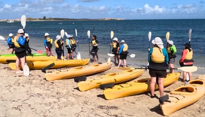 Paddles ready