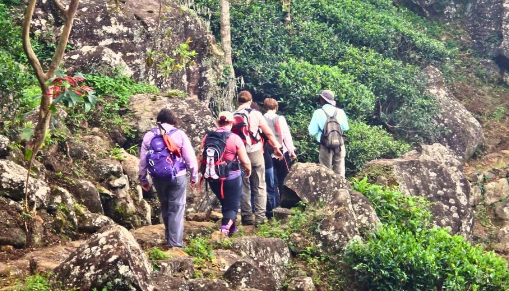 Pekoe Trail Hike