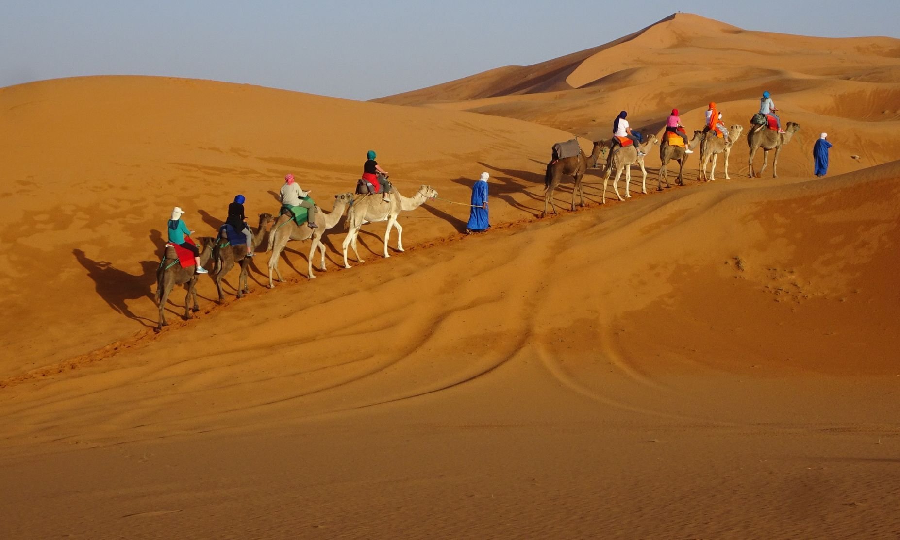 Riding camels across the golden Sahara dunes