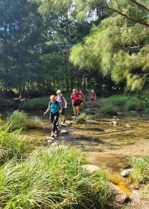 Short getaways or deeper dives _ Crossing a stream in the Carnarvon Gorge National Park