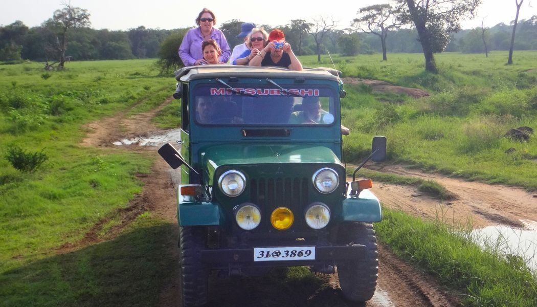 Spotting wildlife on a safari tour