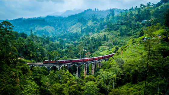 Sri Lanka-1