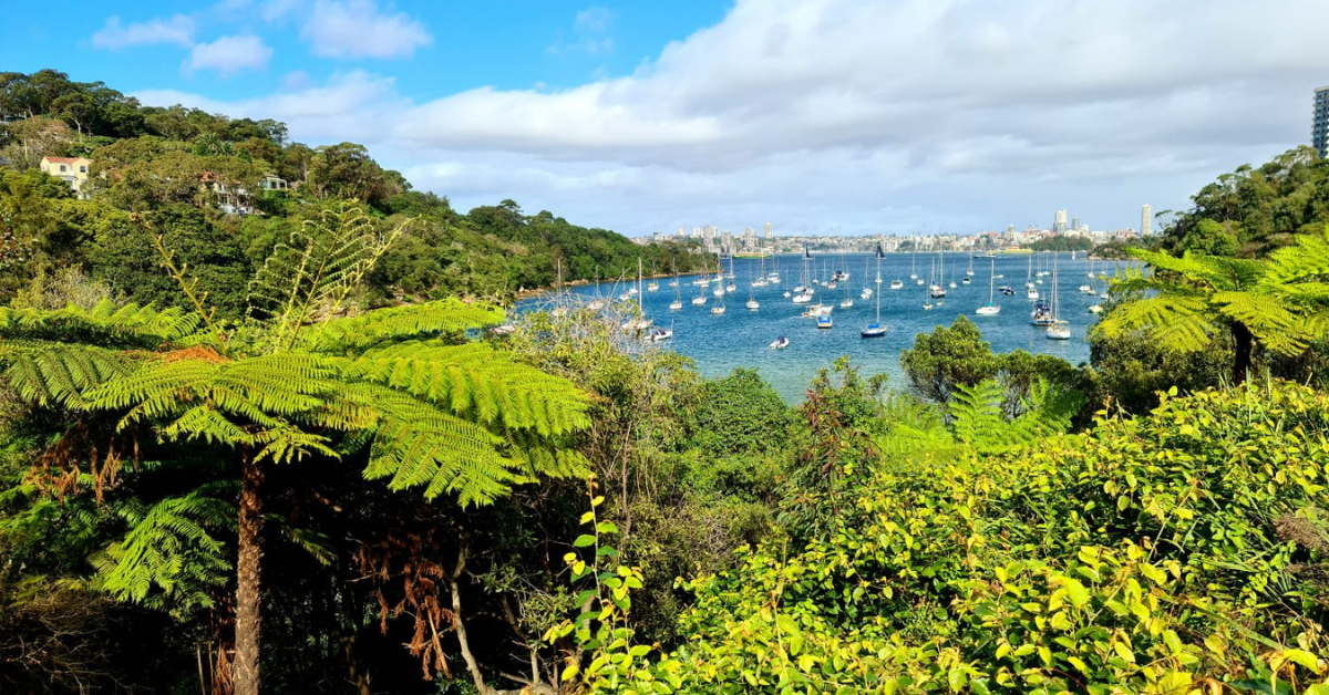 Sydney Harbour Pack-Free Hiking Feature Image