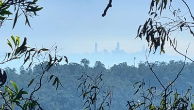 View from White Rock Ridge Track