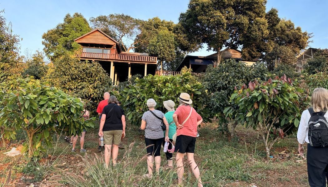 Visiting a local coffee farm