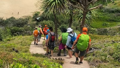 Walk down golden beaches