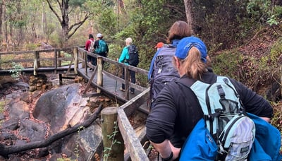Walking through a dense forest