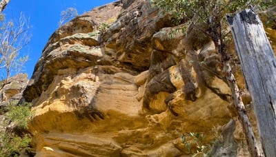 White Rock Ridge Track rock formations