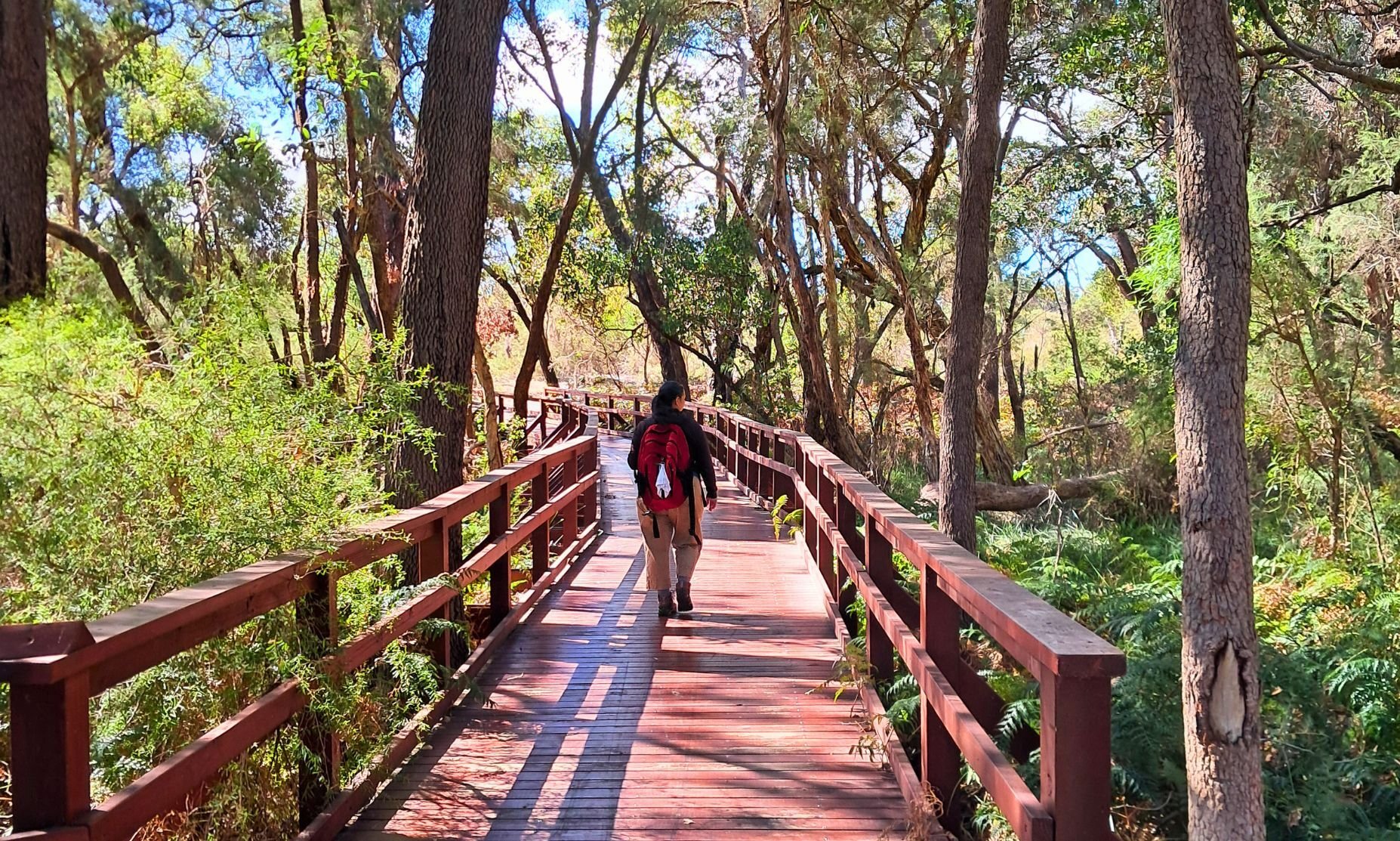 Women hiking along Whiteman Park trail