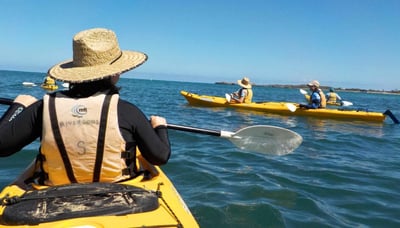 Women kayaking
