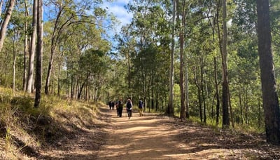 Womens hiking group on White Rock Ridge Track (3)